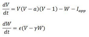 FitzHugh Nagumo Equations